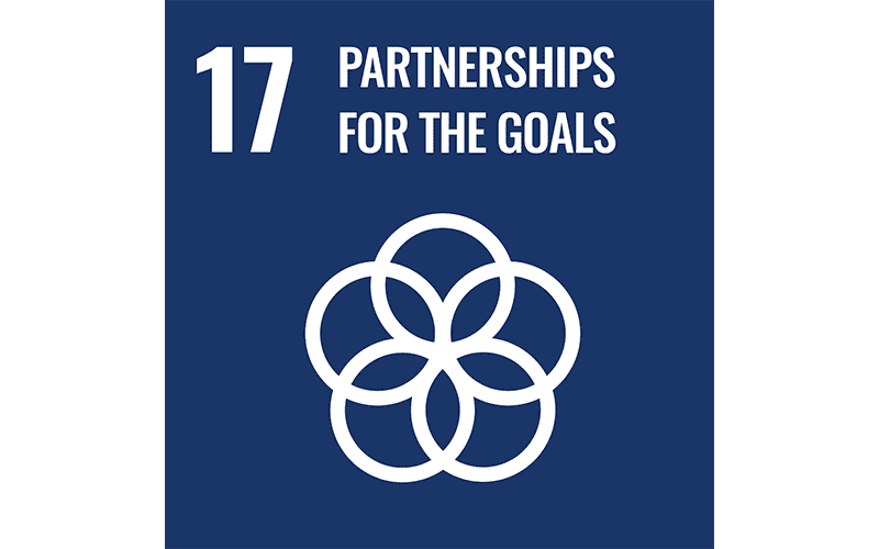 Partnerships For The Goals