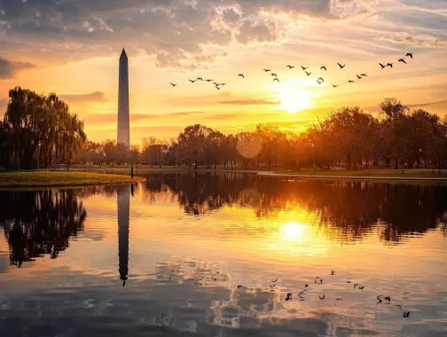 @adam_brockett - National Monument