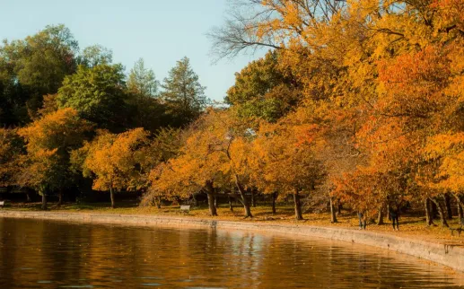 Tidal Basin Fall